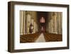 The Gothic Nave of Notre Dame De Reims Cathedral-Julian Elliott-Framed Photographic Print