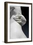 The Graces and Cupid, Detail of the Embrace and a Hand, 1820-22 (Carrara Marble)-Bertel Thorvaldsen-Framed Giclee Print