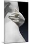 The Graces and Cupid, Detail of the Embrace and a Hand, 1820-22 (Carrara Marble)-Bertel Thorvaldsen-Mounted Giclee Print