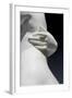 The Graces and Cupid, Detail of the Embrace and a Hand, 1820-22 (Carrara Marble)-Bertel Thorvaldsen-Framed Giclee Print