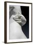 The Graces and Cupid, Detail of the Embrace and a Hand, 1820-22 (Carrara Marble)-Bertel Thorvaldsen-Framed Giclee Print