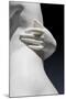 The Graces and Cupid, Detail of the Embrace and a Hand, 1820-22 (Carrara Marble)-Bertel Thorvaldsen-Mounted Giclee Print