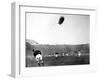 The 'Graf Zeppelin' over Wembley During the F.A. Cup Final-null-Framed Photographic Print