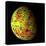 The Grail Free-Air Gravity Map of the Moon-null-Stretched Canvas