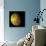 The Grail Free-Air Gravity Map of the Moon-null-Photographic Print displayed on a wall