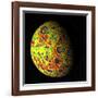 The Grail Free-Air Gravity Map of the Moon-null-Framed Photographic Print