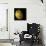 The Grail Free-Air Gravity Map of the Moon-null-Photographic Print displayed on a wall