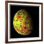 The Grail Free-Air Gravity Map of the Moon-null-Framed Photographic Print