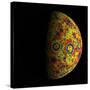 The Grail Free-Air Gravity Map of the Moon-null-Stretched Canvas