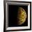 The Grail Free-Air Gravity Map of the Moon-null-Framed Photographic Print