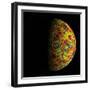 The Grail Free-Air Gravity Map of the Moon-null-Framed Photographic Print