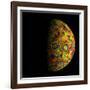 The Grail Free-Air Gravity Map of the Moon-null-Framed Photographic Print
