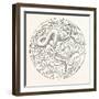 The Grain Worms Vibrio Tritici-null-Framed Giclee Print