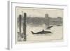 The Grampus in the Thames on Tuesday Last, Sketched Off Chelsea-Davidson Knowles-Framed Giclee Print