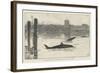 The Grampus in the Thames on Tuesday Last, Sketched Off Chelsea-Davidson Knowles-Framed Giclee Print