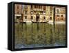 The Grand Canal, Venice-Carlo Brancaccio-Framed Stretched Canvas