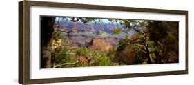 The Grand Canyon, Day Time, View over the Landscape of the Canyon and the Green Vegetation-Barry Herman-Framed Photographic Print