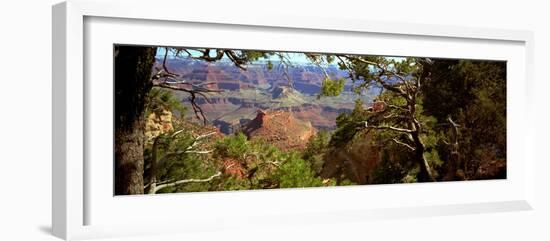 The Grand Canyon, Day Time, View over the Landscape of the Canyon and the Green Vegetation-Barry Herman-Framed Photographic Print