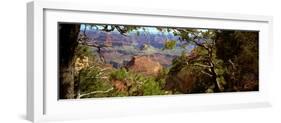 The Grand Canyon, Day Time, View over the Landscape of the Canyon and the Green Vegetation-Barry Herman-Framed Photographic Print