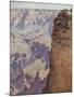 The Grand Canyon of Arizona-Gunnar Widforss-Mounted Giclee Print