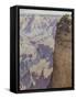 The Grand Canyon of Arizona-Gunnar Widforss-Framed Stretched Canvas