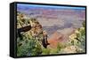 The Grand Canyon-meunierd-Framed Stretched Canvas