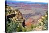 The Grand Canyon-meunierd-Stretched Canvas