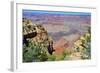 The Grand Canyon-meunierd-Framed Photographic Print