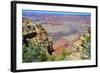 The Grand Canyon-meunierd-Framed Photographic Print