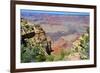 The Grand Canyon-meunierd-Framed Photographic Print