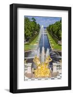 The Grand Cascade of Peterhof, Peter the Great's Palace, St. Petersburg, Russia, Europe-Michael Nolan-Framed Photographic Print