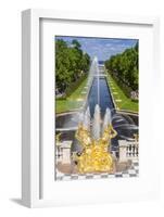 The Grand Cascade of Peterhof, Peter the Great's Palace, St. Petersburg, Russia, Europe-Michael Nolan-Framed Photographic Print