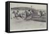 The Grand Military Meeting, Sandown Park, the Race for the Gold Cup, at the Water Jump-Cecil Aldin-Framed Stretched Canvas