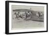 The Grand Military Meeting, Sandown Park, the Race for the Gold Cup, at the Water Jump-Cecil Aldin-Framed Giclee Print