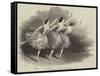 The Grand Pas Des Elemens, at Her Majesty's Theatre-null-Framed Stretched Canvas