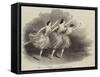 The Grand Pas Des Elemens, at Her Majesty's Theatre-null-Framed Stretched Canvas