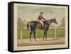 The Grand Racer Kingston-Currier & Ives-Framed Stretched Canvas