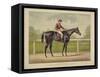 The Grand Racer Kingston-Currier & Ives-Framed Stretched Canvas