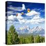 The Grand Teton National Park-Gary718-Stretched Canvas