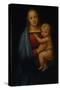 The Granduca Madonna-Sanzio Raffaello-Stretched Canvas