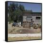 The Grape-Harvest in Rhodes-CM Dixon-Framed Stretched Canvas