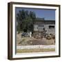 The Grape-Harvest in Rhodes-CM Dixon-Framed Photographic Print