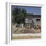 The Grape-Harvest in Rhodes-CM Dixon-Framed Photographic Print