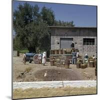 The Grape-Harvest in Rhodes-CM Dixon-Mounted Photographic Print