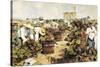 The Grape Harvest-Arcadi Mas y Fondevila-Stretched Canvas