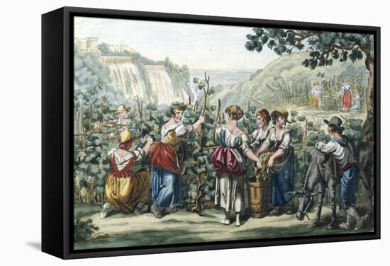 The Grape Harvest-Bartolomeo Pinelli-Framed Stretched Canvas