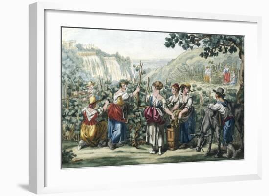 The Grape Harvest-Bartolomeo Pinelli-Framed Giclee Print