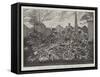 The Grave of Dr Allon in Abney Park Cemetery-null-Framed Stretched Canvas