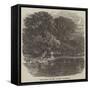 The Grave of Mr Charles Waterton-null-Framed Stretched Canvas