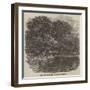 The Grave of Mr Charles Waterton-null-Framed Giclee Print